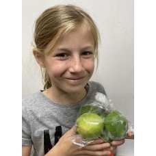 LIMES 500 grams KATIKATI Grown